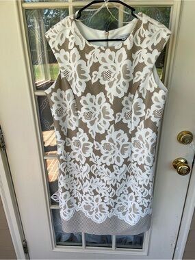 Sandra Darren Size 16 White Taupe Floral Lace Mesh Sheath Dress 🤍
